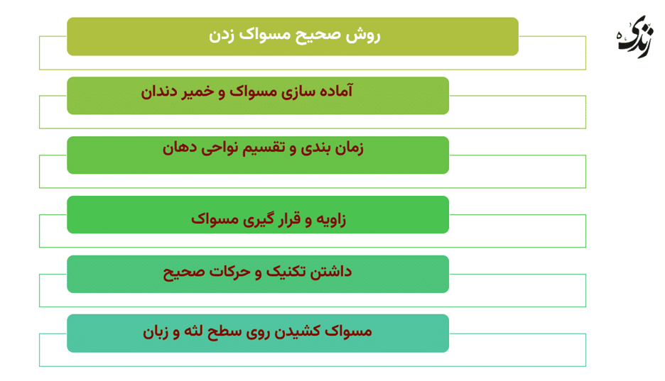 5 مرحله در روش صحیح مسواک زدن