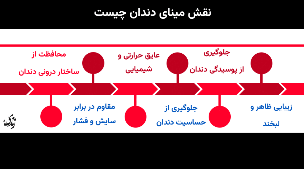 بررسی نقش مینای دندان