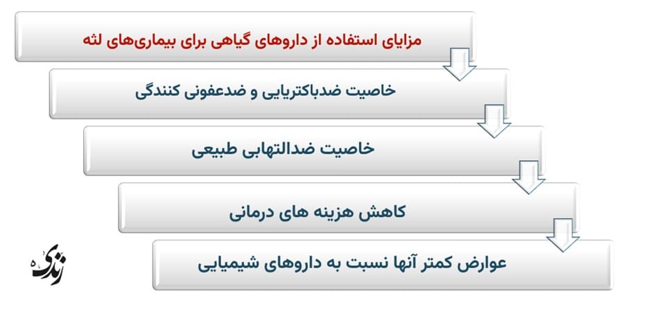 بررسی مزایای استفاده از داروهای گیاهی برای بیماری های لثه