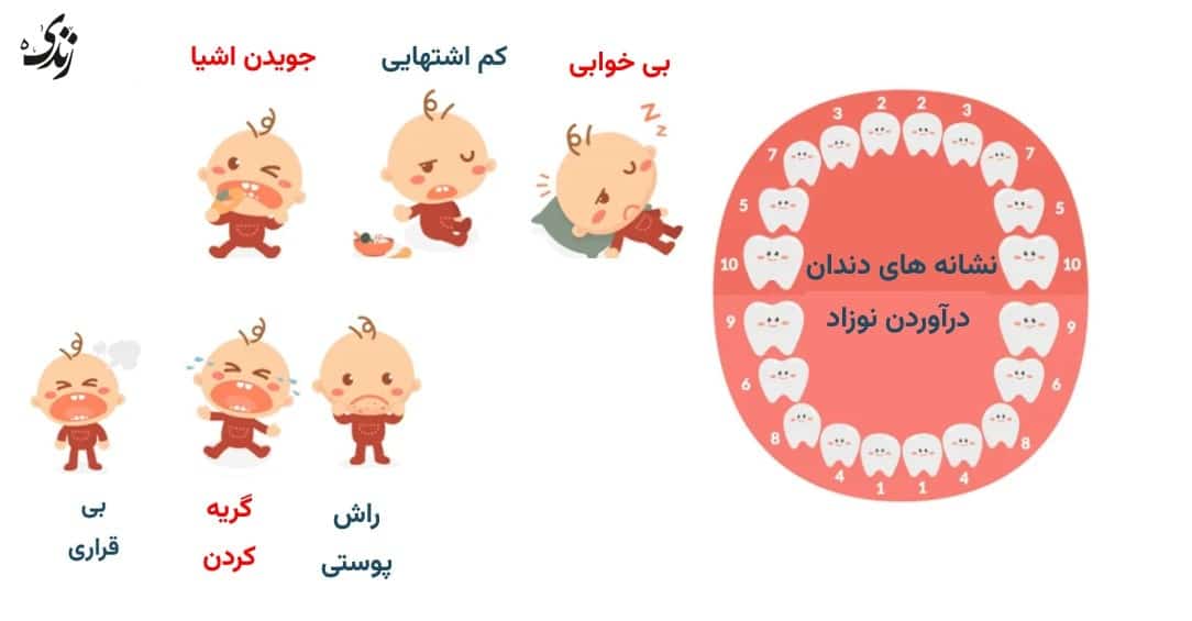 بررسی علائم و نشانه های دندان در آوردن