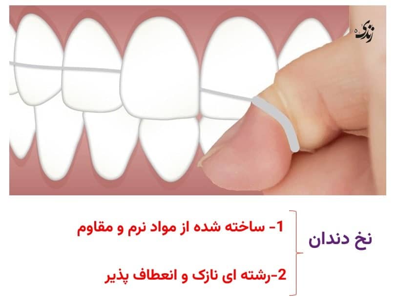 نخ دندان چیست؟